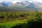 Kluane National Park