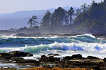 Vancouver Island Beach